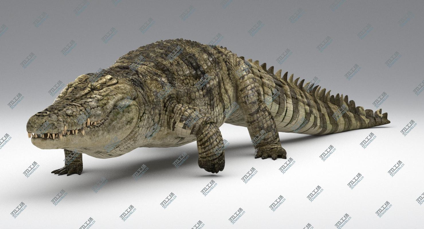 images/goods_img/20210113/3D Crocodile Animated model/3.jpg